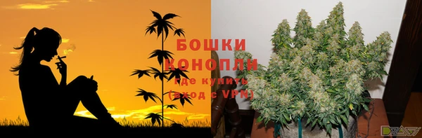 мдпв Навашино