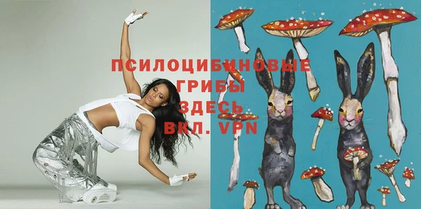 прущая мука Армянск